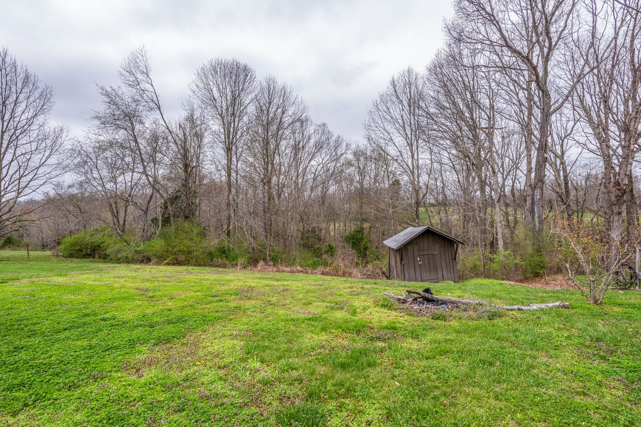 7606 Pewitt Road Franklin, TN 37064 - Photo 26 of 28 a backyard of a house with lots of green space