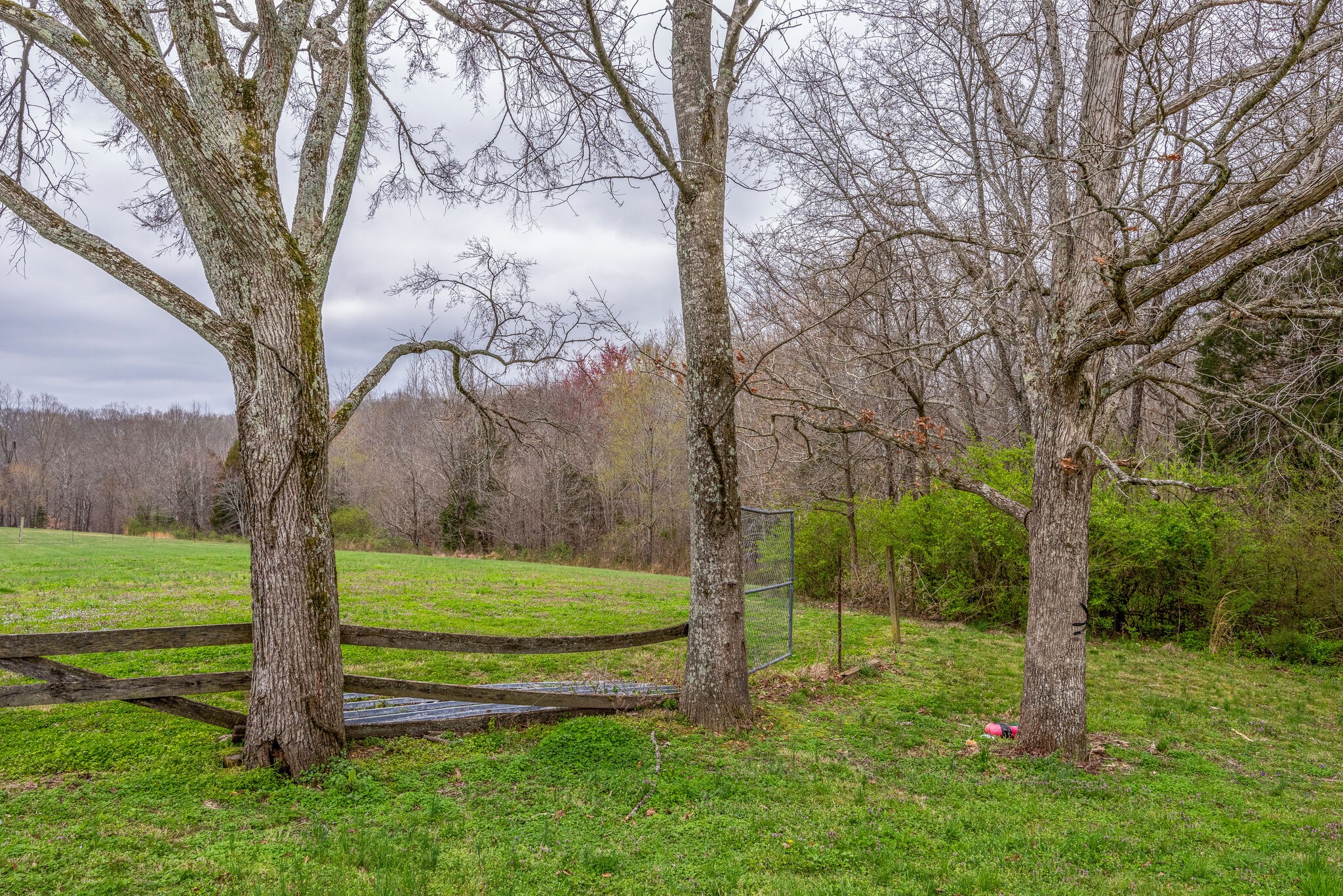 7606 Pewitt Road Franklin, TN 37064 - Photo 27 of 28 a view of a park