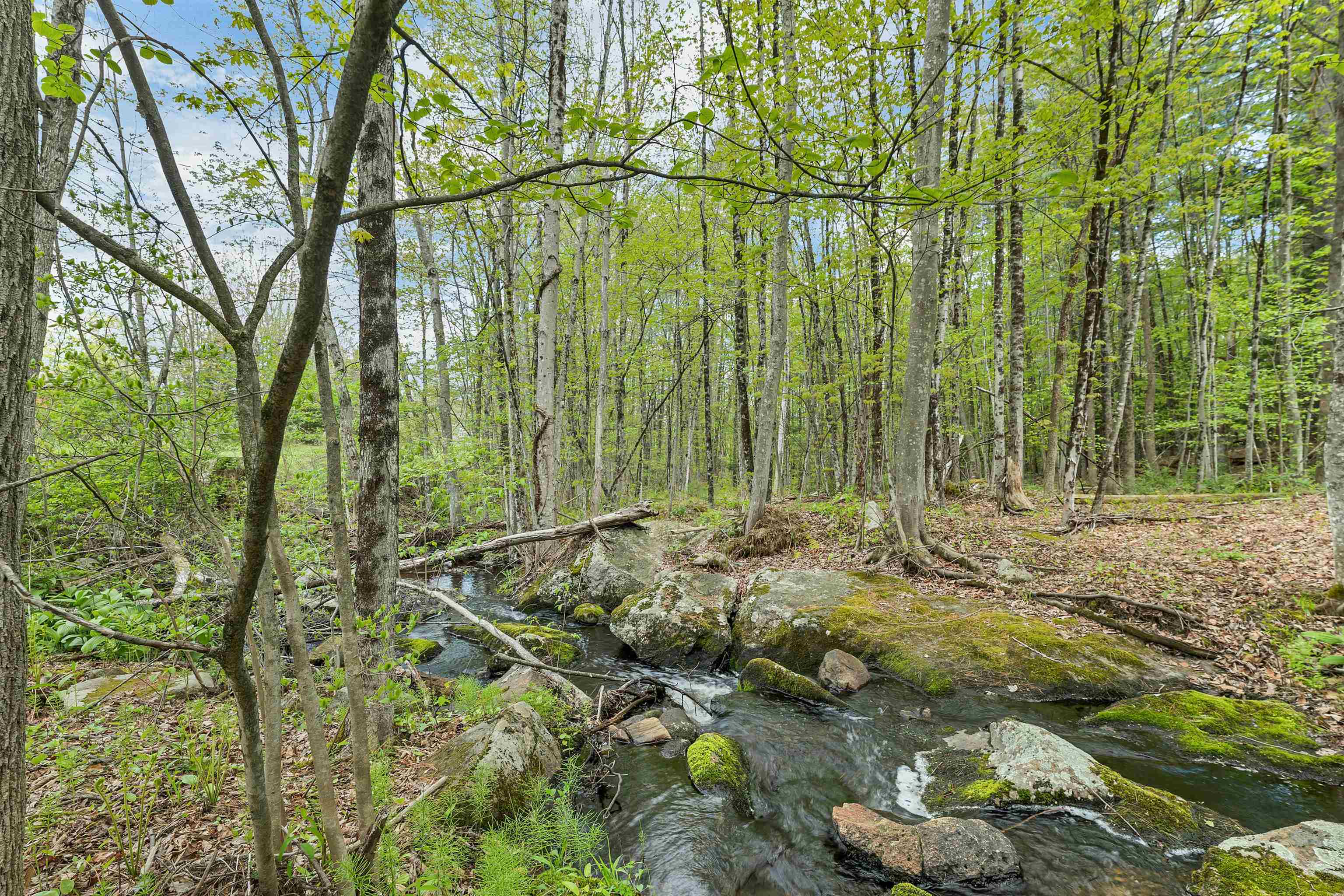 234 Paige Hill Road Goffstown, NH 03045 - Photo 47 of 58 Gallery Image 47
