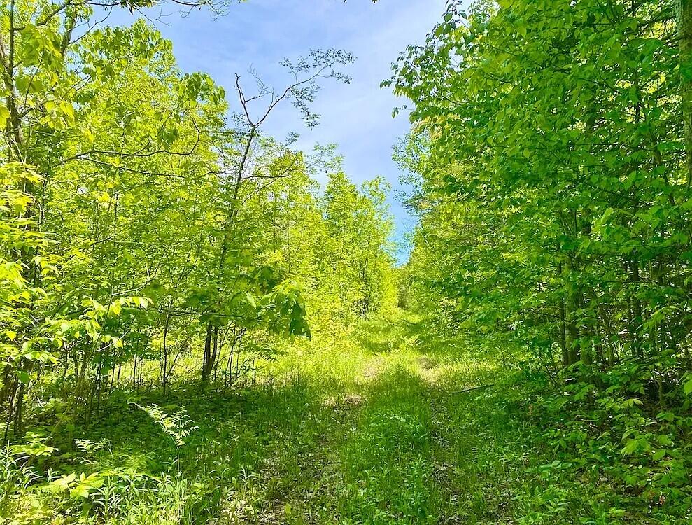 7481 Peters Road Posen, MI 49776 - Photo 15 of 29 Gallery Image 15