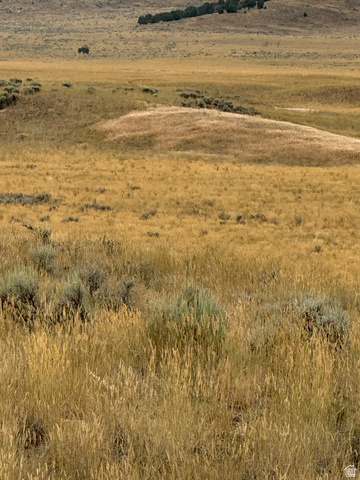 16 Old Dam Road, Unit 16 Levan, UT 84639 - Photo 9 of 9