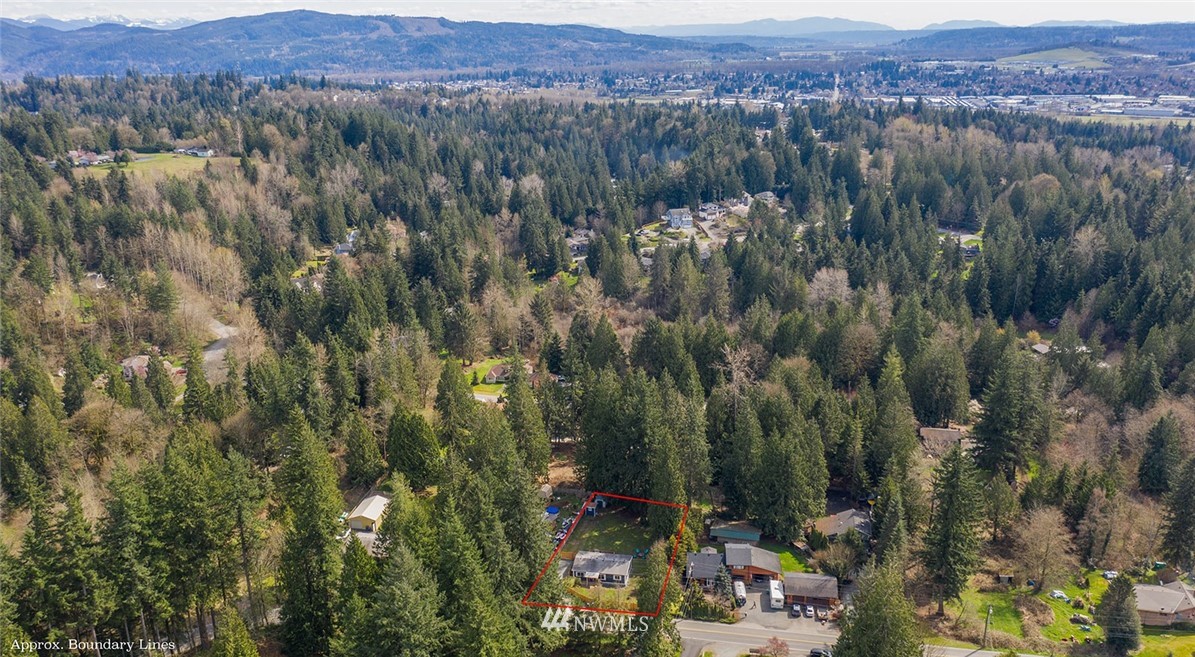 17920 Trombley Road Snohomish, WA 98290 - Photo 26 of 36 a view of a lush green forest with lush green forest