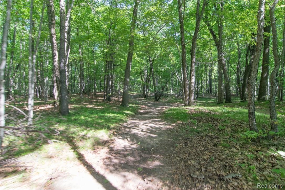 8127 Marsh Road Algonac, MI 48001 - Photo 58 of 68 DSC_0088.jpg