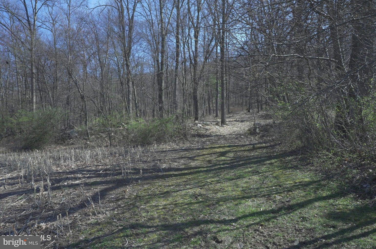 West Mountain Road Paxinos, PA 17860 - Photo 4 of 6