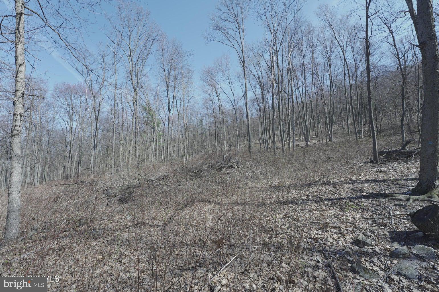 West Mountain Road Paxinos, PA 17860 - Photo 5 of 6