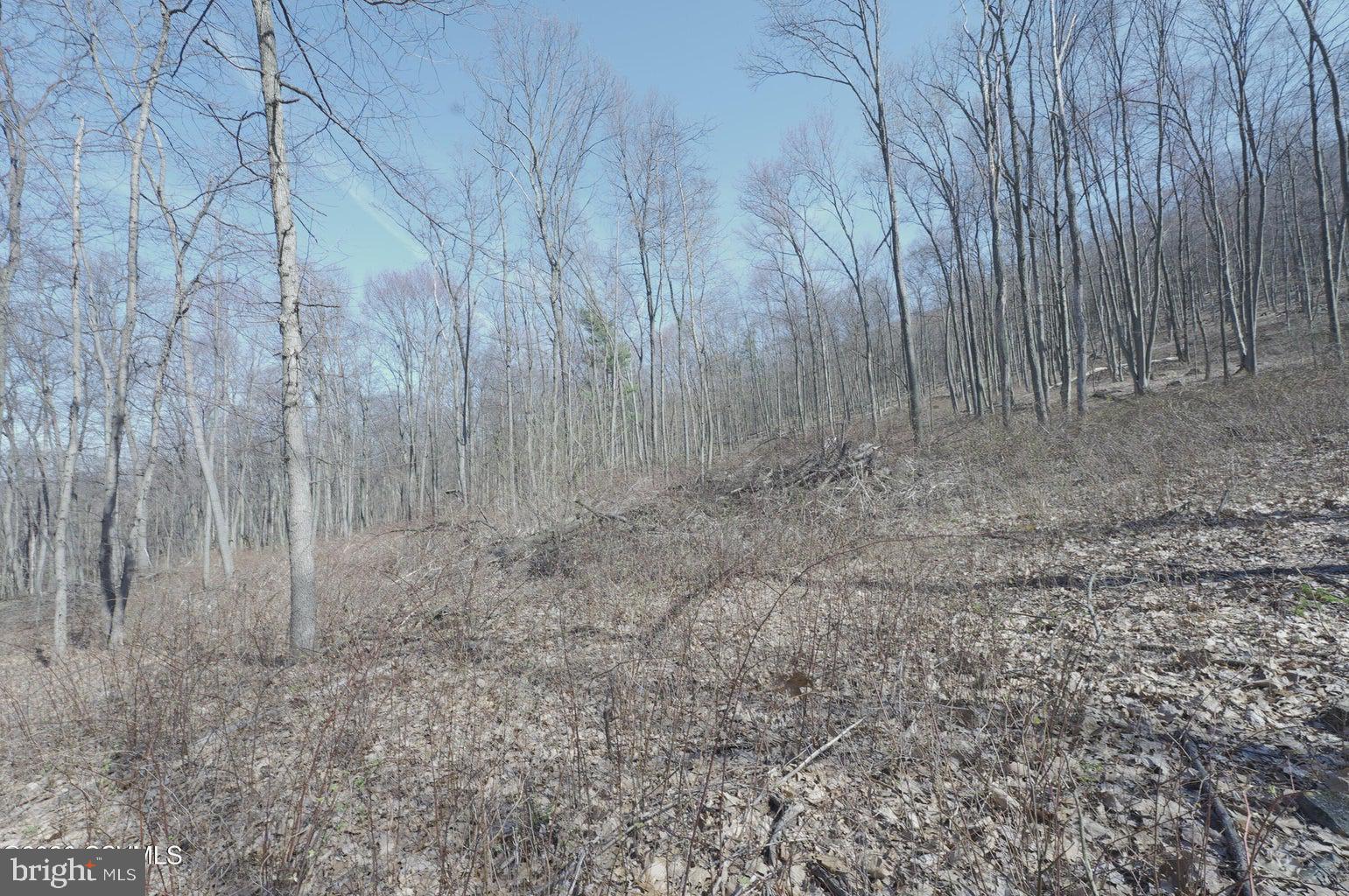 West Mountain Road Paxinos, PA 17860 - Photo 6 of 6