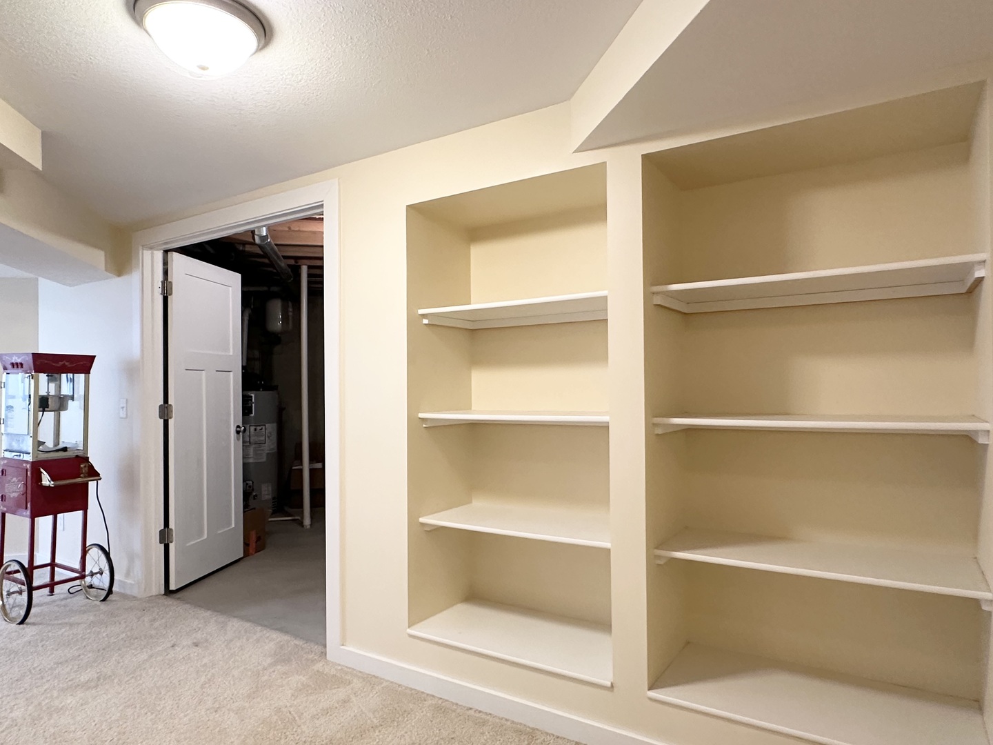 1205 Eagle Bluff Drive Bourbonnais, IL 60914 - Photo 37 of 51 a view of walk in closet with empty racks