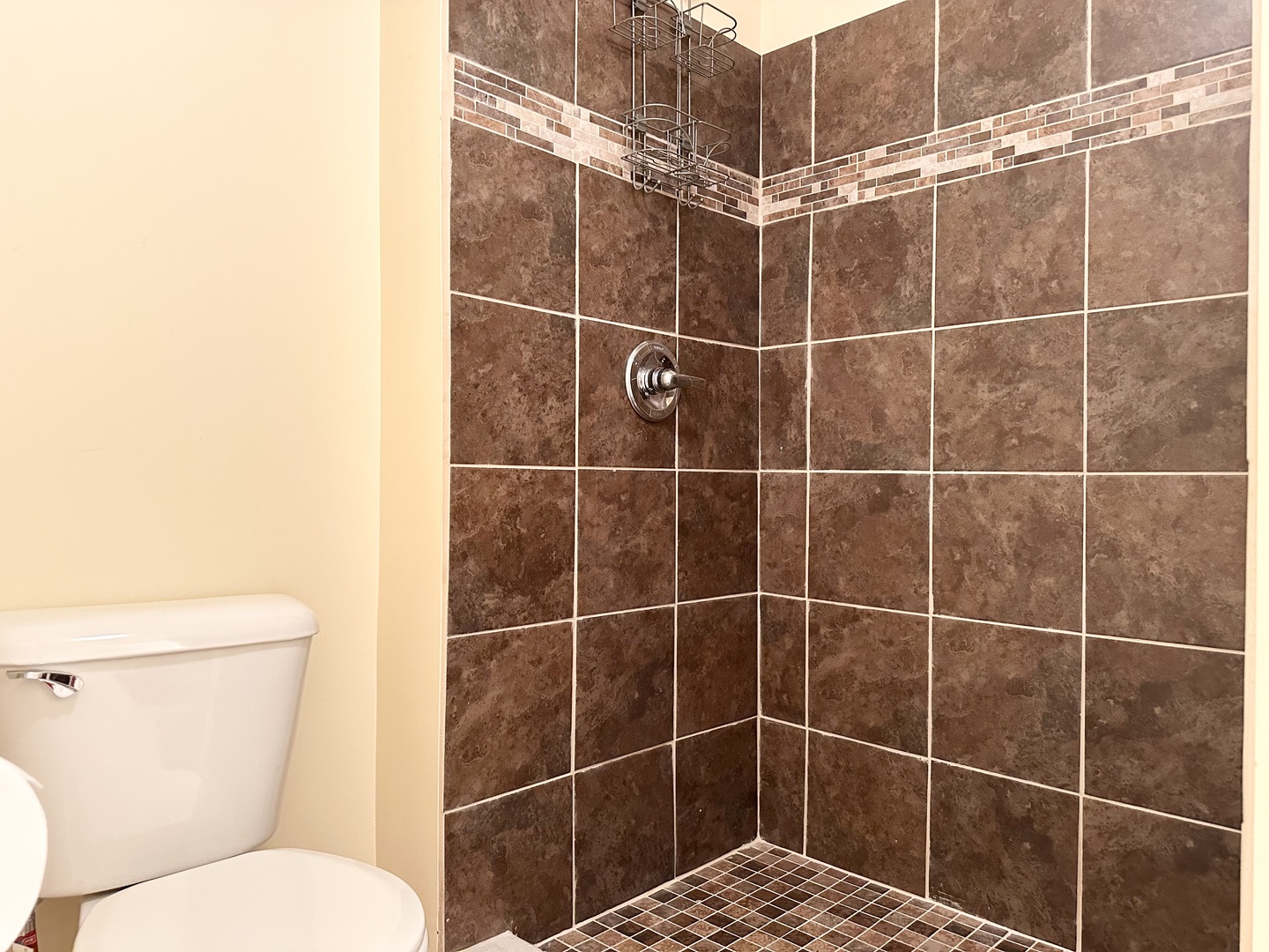 1205 Eagle Bluff Drive Bourbonnais, IL 60914 - Photo 43 of 51 a bathroom with a toilet and a shower