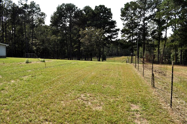 62 McCarthy Road Opelika, AL 36804 - Photo 13 of 35 a view of a yard with a tree