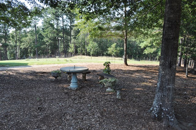 62 McCarthy Road Opelika, AL 36804 - Photo 17 of 35 a view of a backyard with large trees