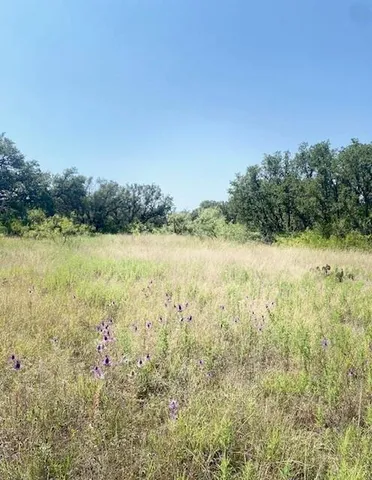 a view of a field with an ocean view
