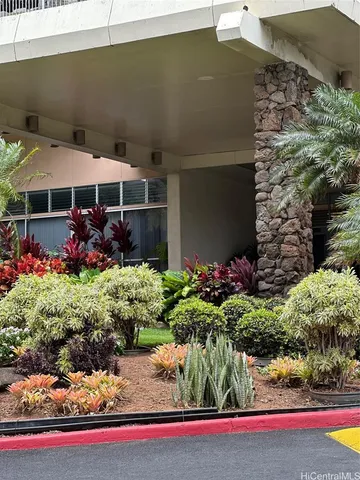 a view of a backyard with plants