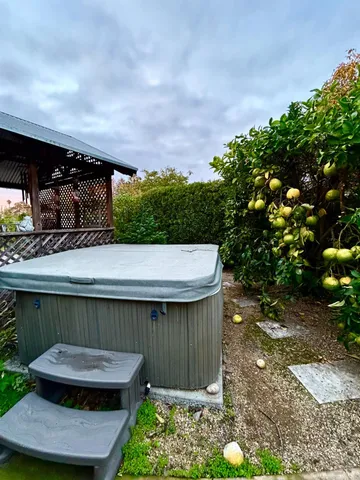 a view of a backyard with plants