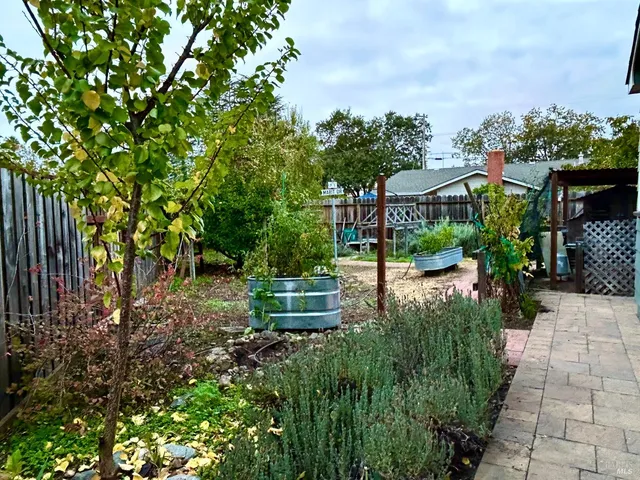 a view of a garden with a building in the background