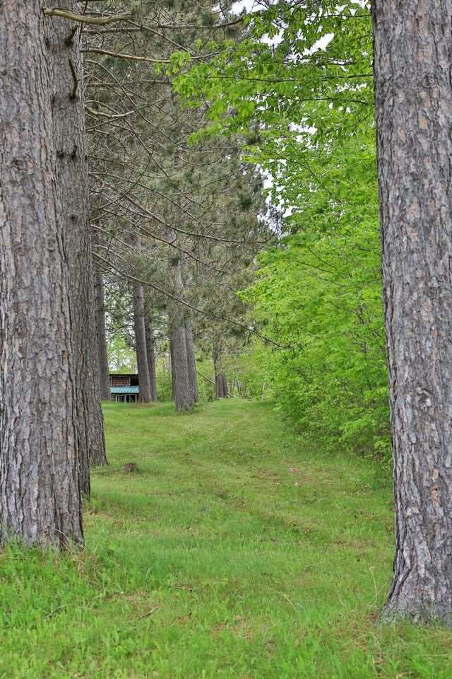 69 Gore Road Lancaster, NH 03584 - Photo 13 of 24