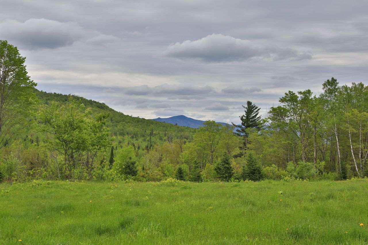 69 Gore Road Lancaster, NH 03584 - Photo 14 of 24
