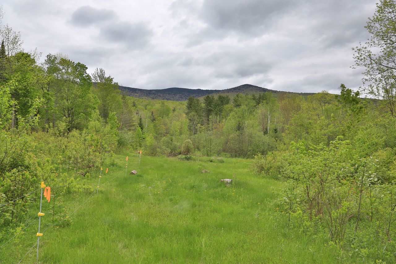69 Gore Road Lancaster, NH 03584 - Photo 9 of 24