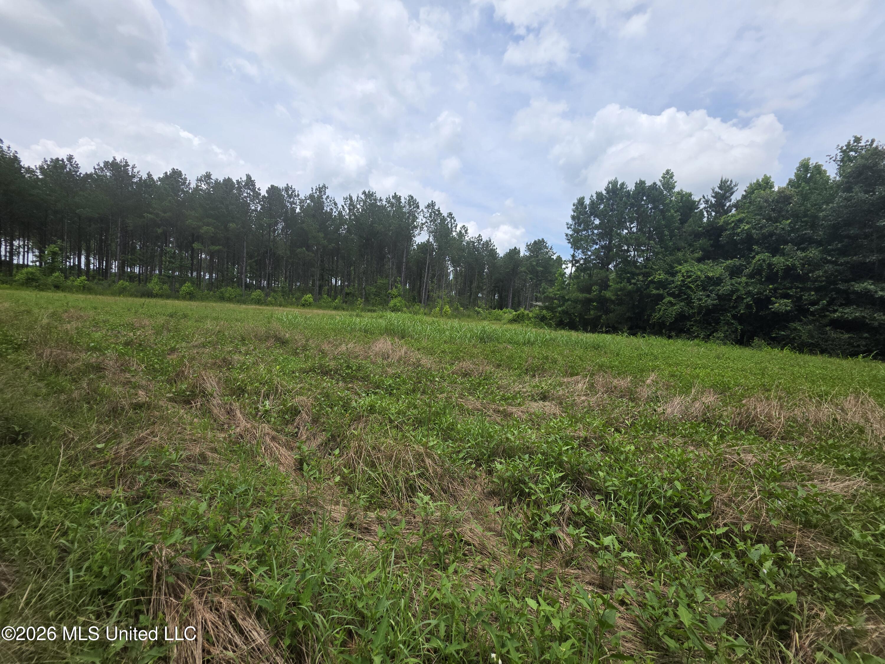 244 Foster Road Sontag, MS 39665 - Photo 53 of 105 35582