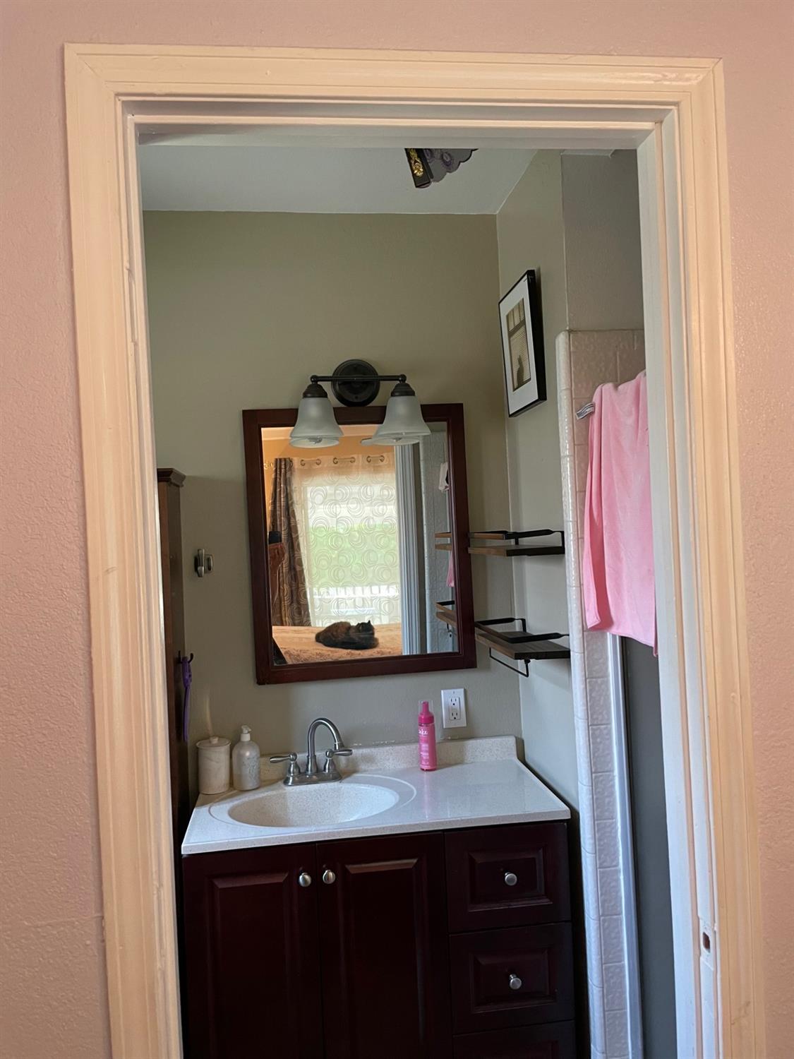 1606 Bay Meadows Drive Modesto, CA 95350 - Photo 13 of 20 a bathroom with a sink vanity and mirror