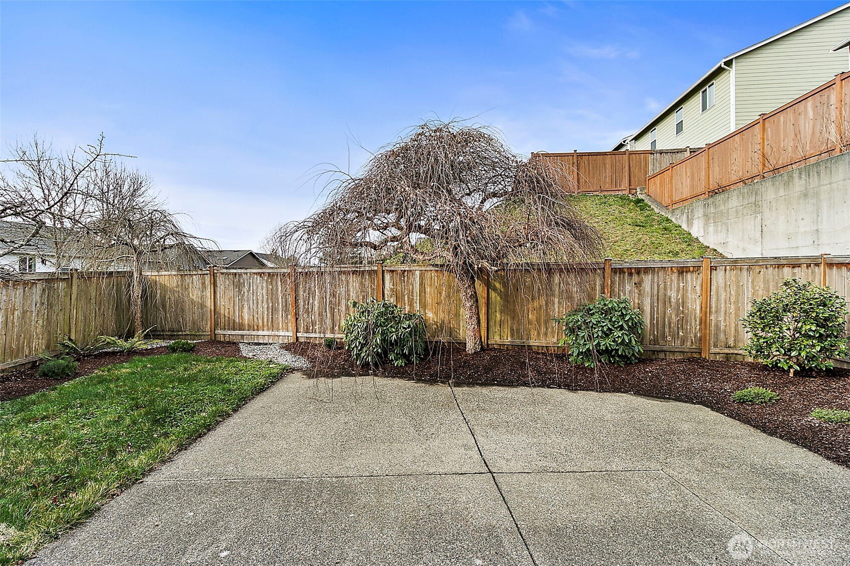 27729 257th Avenue Southeast Maple Valley, WA 98038 - Photo 33 of 40 a view of a backyard with plants