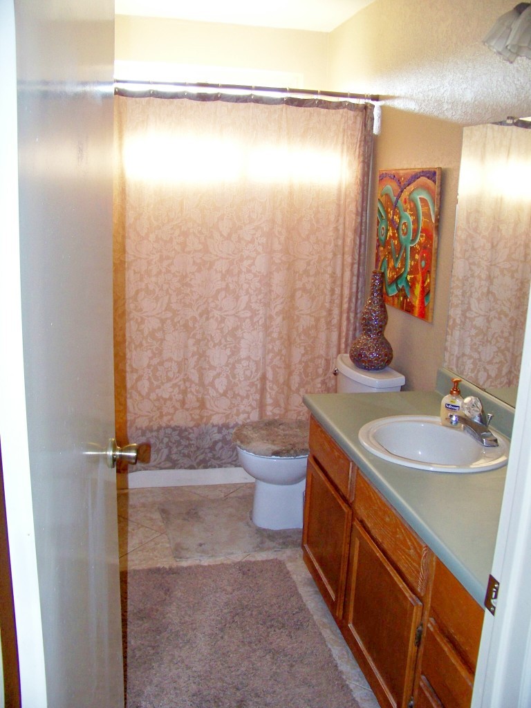 20001 West Teepee Road Buckeye, AZ 85326 - Photo 16 of 33 Front Bath