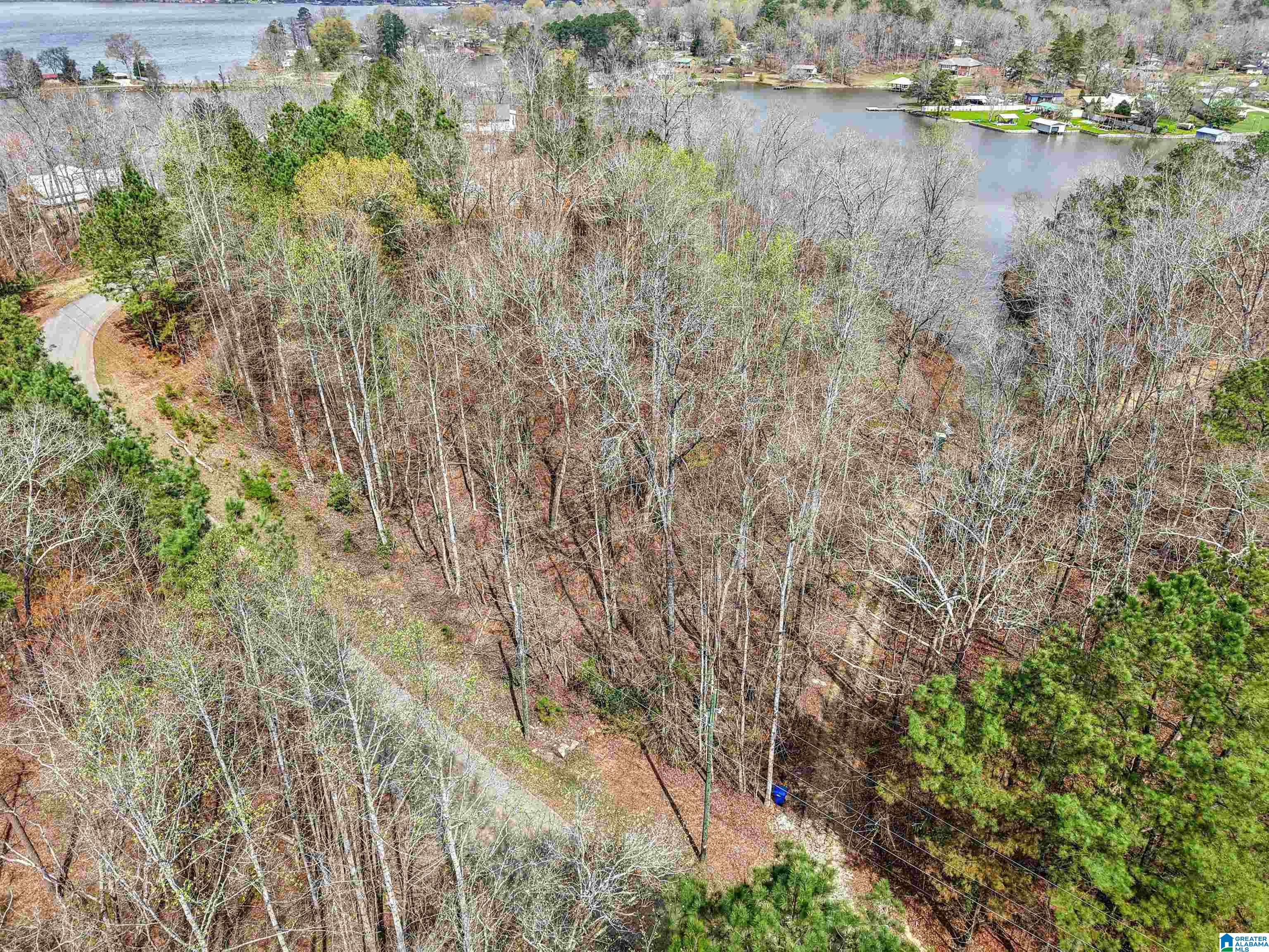 130 Mohawk Court, Unit LOT 1 Ohatchee, AL 36271 - Photo 8 of 17