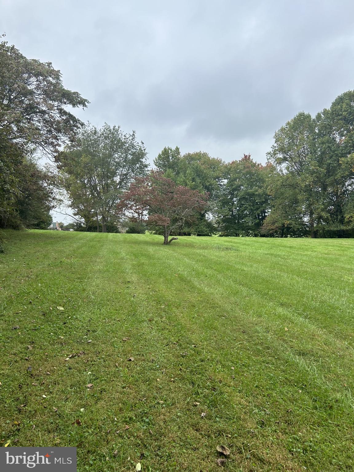 9805 Hawkins Creamery Road Damascus, MD 20872 - Photo 3 of 23