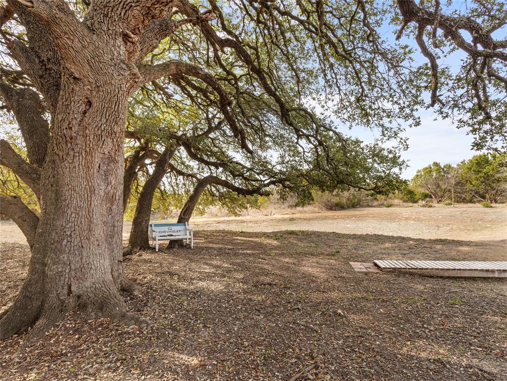 351 County Road 2601 Meridian, TX 76665 - Photo 12 of 40 a view of dirt yard with a tree