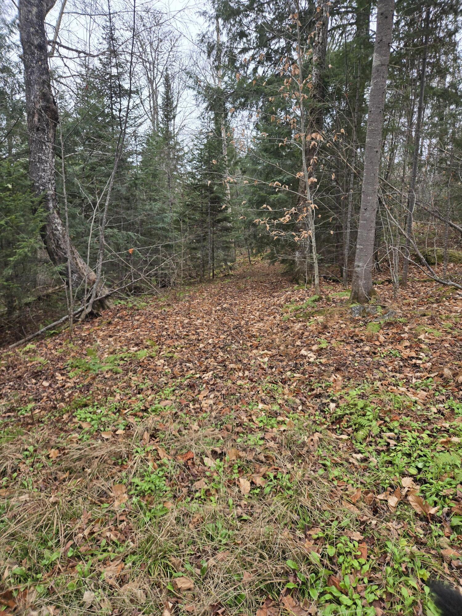 469 East Cottage Road Portage, ME 04768 - Photo 45 of 63 20241120_121217