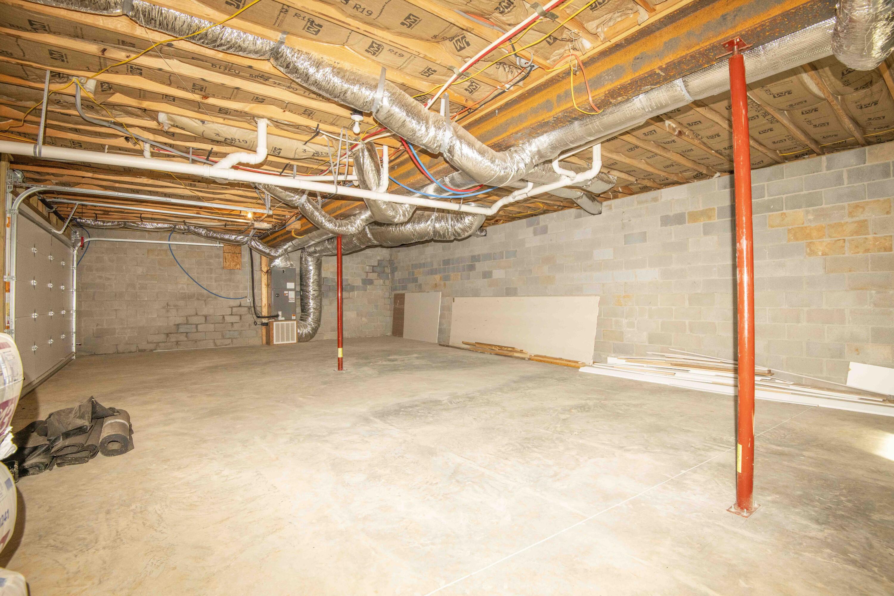 185 Waters Edge Dr Spring Spring City, TN 37381 - Photo 31 of 55 basement_1 (1)
