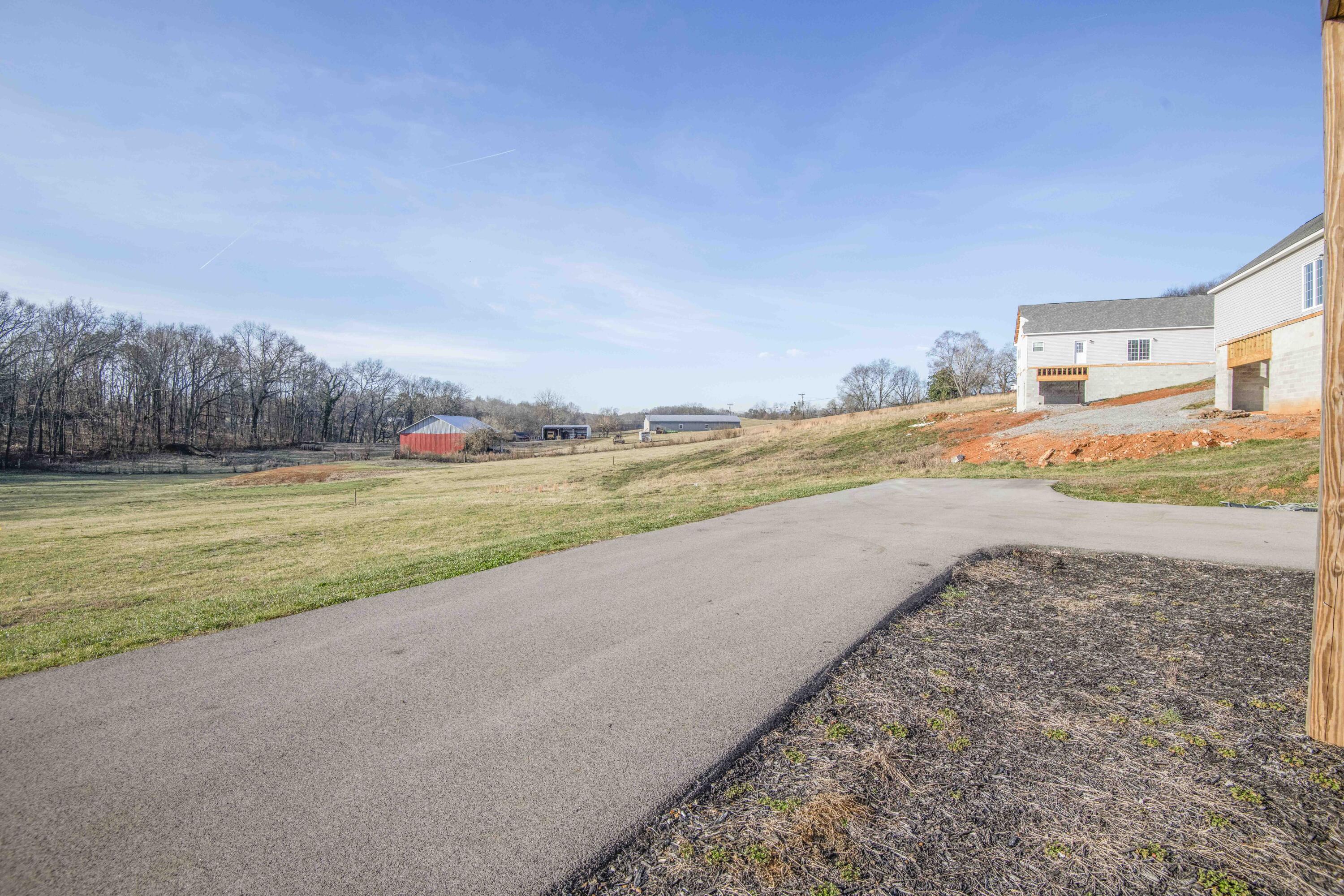 185 Waters Edge Dr Spring Spring City, TN 37381 - Photo 44 of 55 yard 4_1 (1)