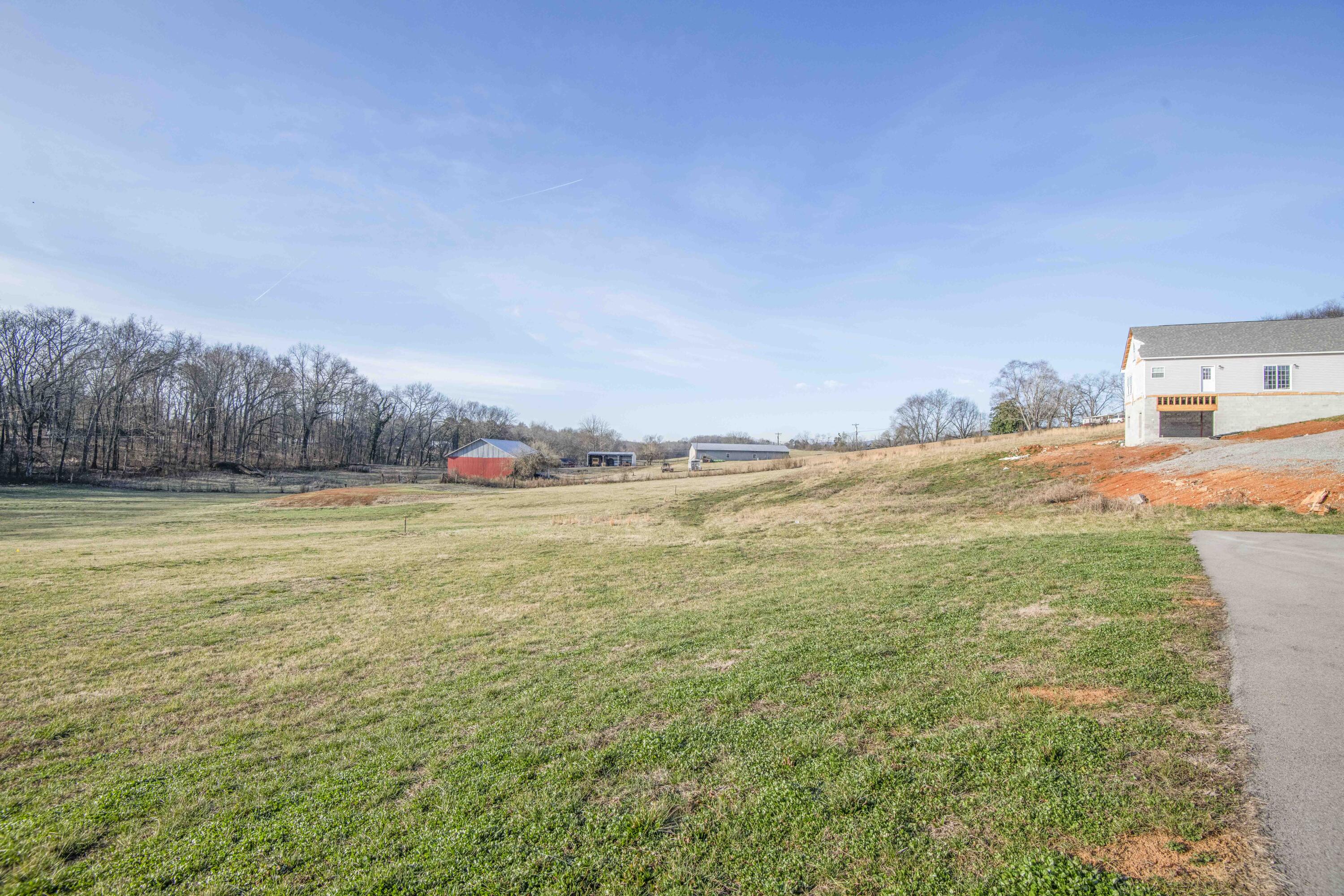 185 Waters Edge Dr Spring Spring City, TN 37381 - Photo 45 of 55 yard 3_1 (1)