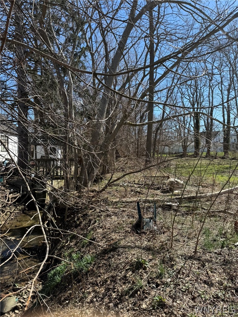 36 West Main Street Ripley, NY 14775 - Photo 10 of 17