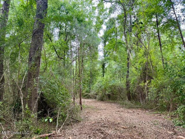 Mt Herman Road Osyka, MS 39657 - Photo 25 of 53 IMG_5395