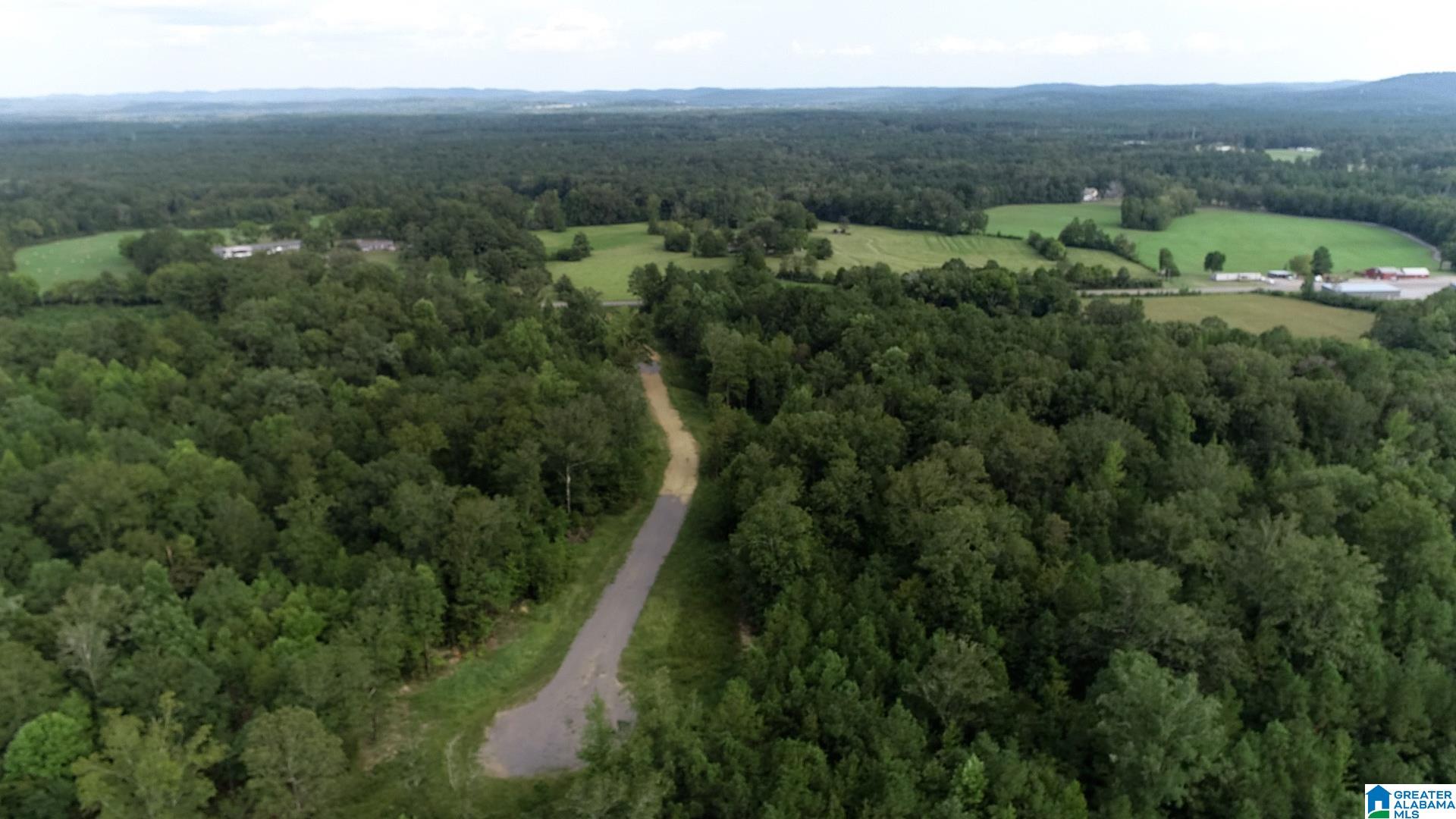20 Scenic Vly Road, Unit TRACT 5 Springville, AL 35146 - Photo 2 of 11 Gallery Image 2
