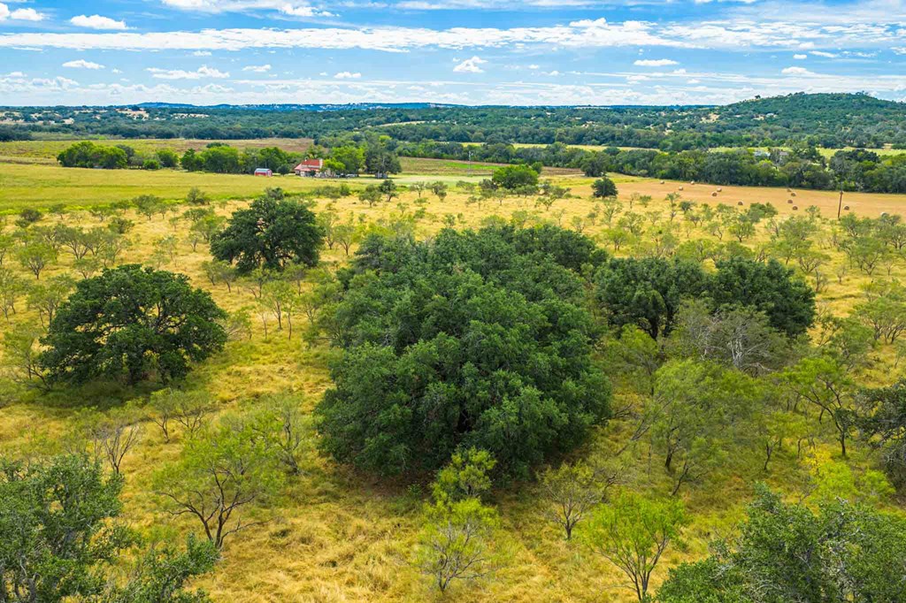 6754 North Grape Creek Road Fredericksburg, TX 78624 - Photo 2 of 47 a view of an outdoor space and mountain view