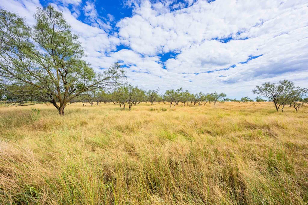 6754 North Grape Creek Road Fredericksburg, TX 78624 - Photo 37 of 47 a view of yard with swimming pool