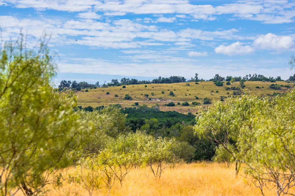 6754 North Grape Creek Road Fredericksburg, TX 78624 - Photo 40 of 47 a view of a yard with an outdoor space