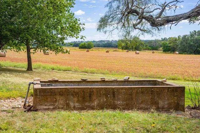 a view of an ocean with trees in the background