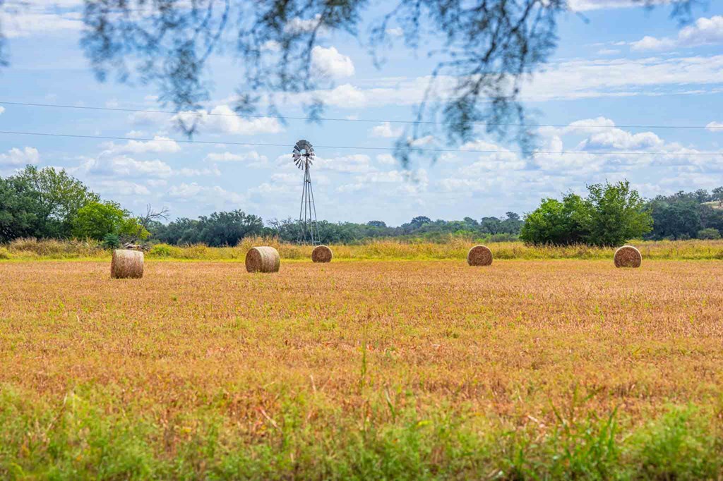 6754 North Grape Creek Road Fredericksburg, TX 78624 - Photo 43 of 47 a view of an ocean with trees in the background