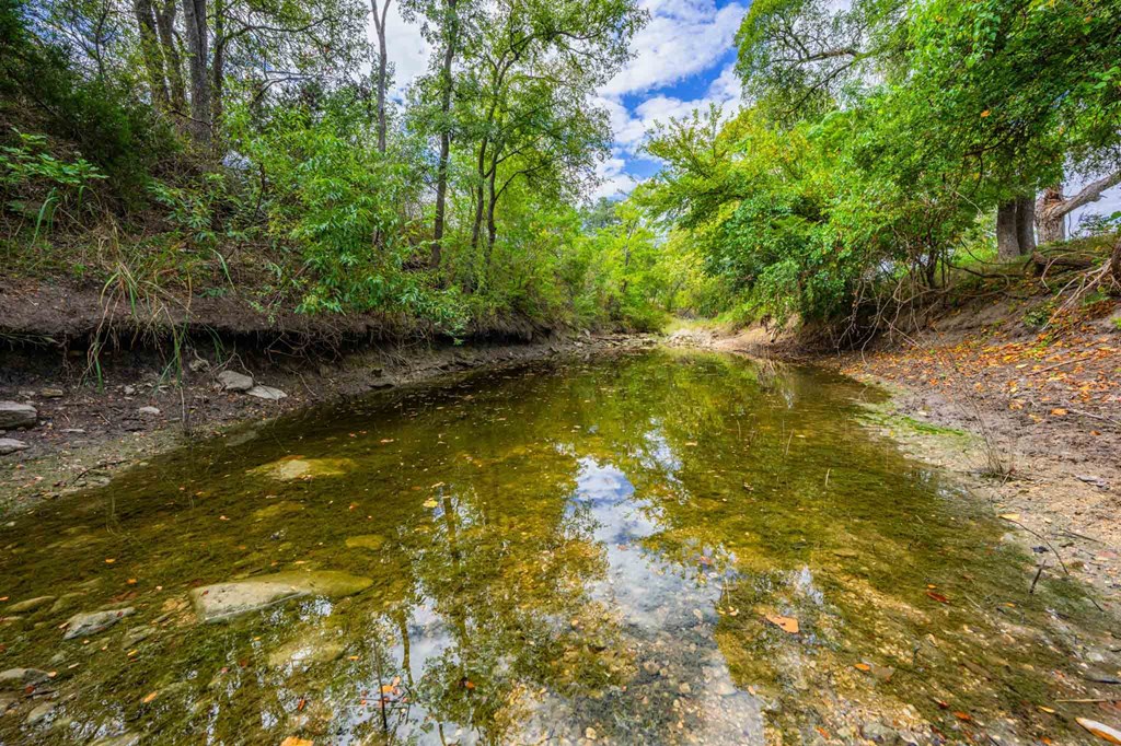 6754 North Grape Creek Road Fredericksburg, TX 78624 - Photo 6 of 47 a view of a lake view