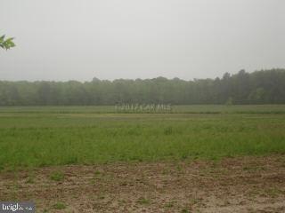 8925 Libertytown Road Berlin, MD 21811 - Photo 3 of 9