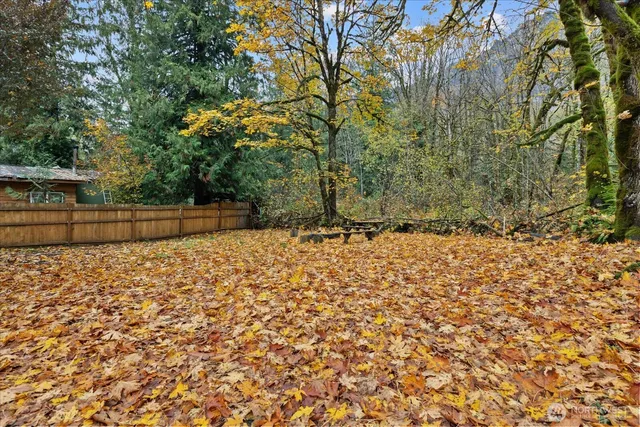 a view of backyard of the house