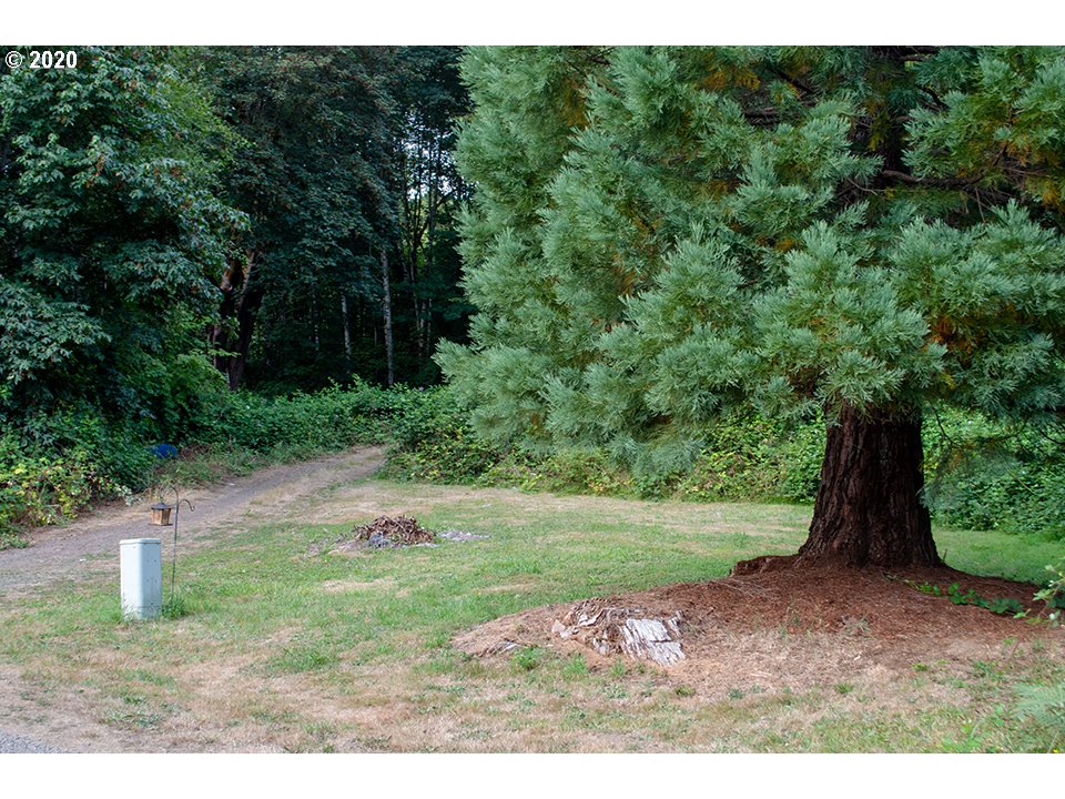 81174 Elderberry Road Seaside, OR 97138 - Photo 19 of 20 Gallery Image 19
