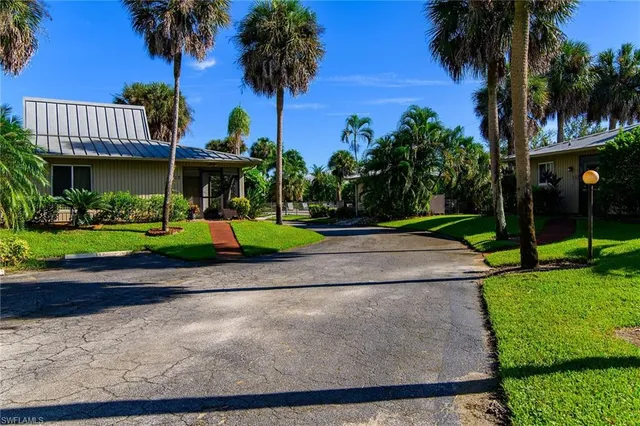 a view of a park with palm trees