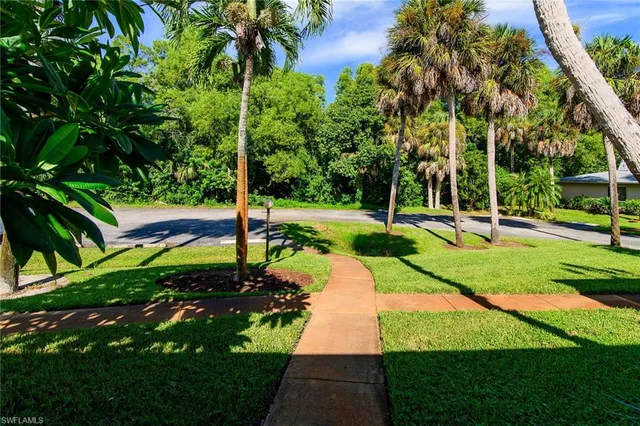 a view of a park with large trees