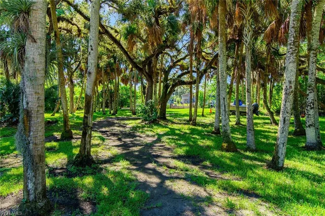 a backyard of a house with lots of green space