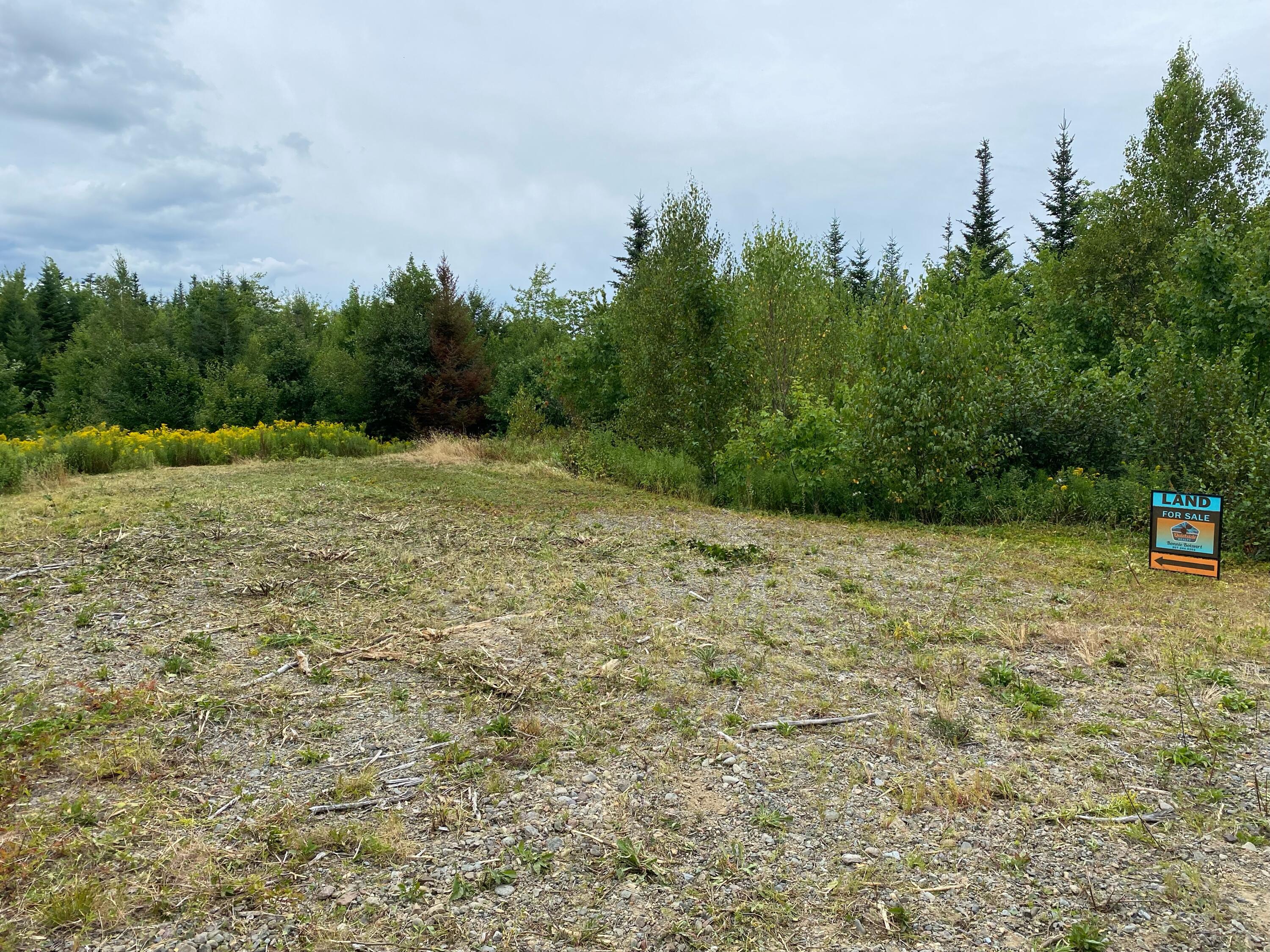 Tbd Yellow Birch Road Whiting, ME 04691 - Photo 2 of 6 42 +/- acres of land!