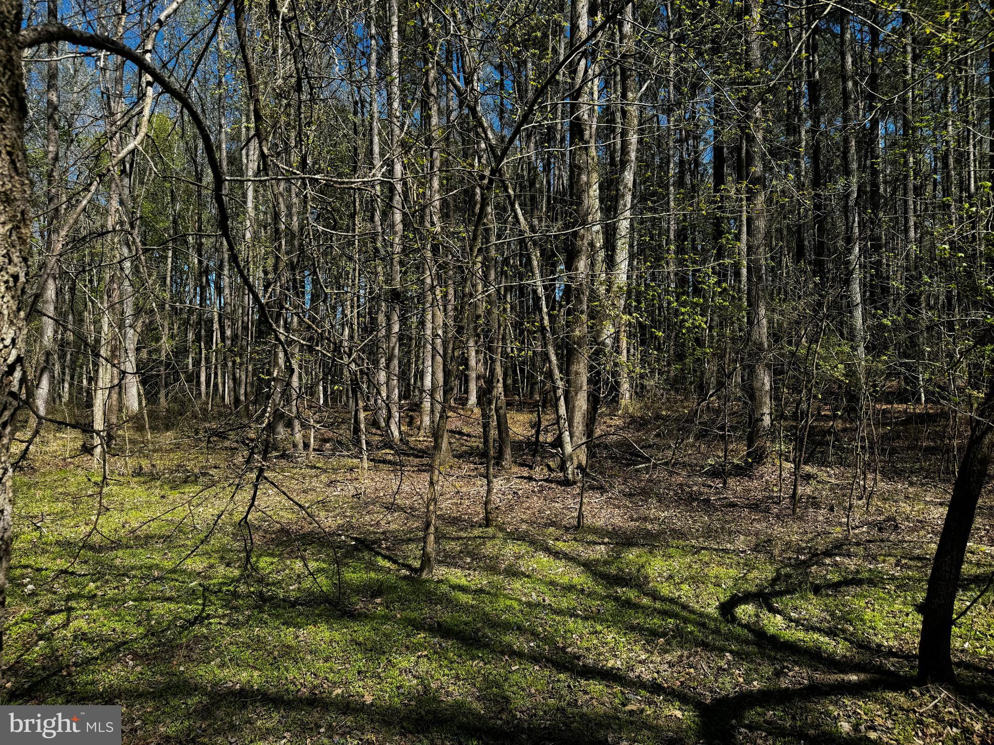 0 Public Landing Road Snow Hill, MD 21863 - Photo 2 of 11