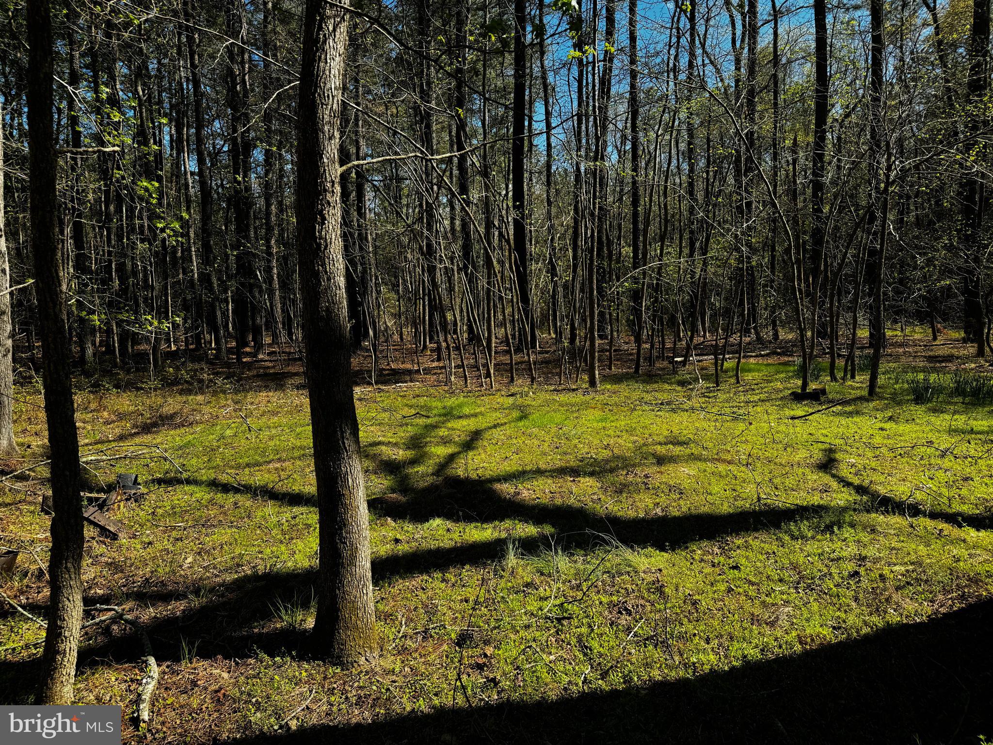 0 Public Landing Road Snow Hill, MD 21863 - Photo 4 of 11